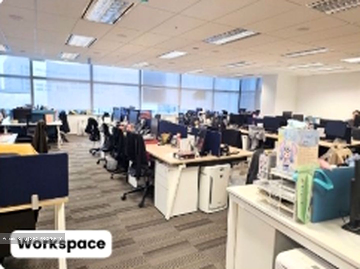 Velocity @ Novena Square (D11), Office #570449041